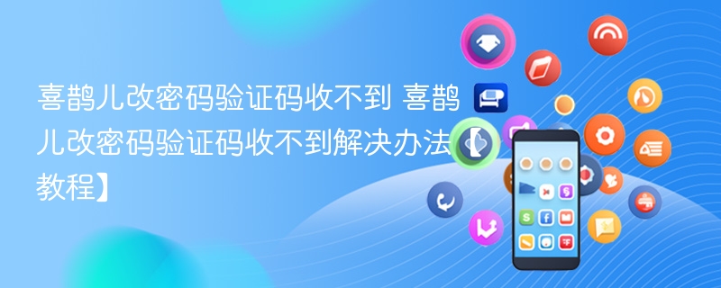 喜鹊儿改密码验证码收不到 喜鹊儿改密码验证码收不到解决办法【教程】 - php中文网