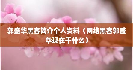 郭盛华黑客简介个人资料（网络黑客郭盛华现在干什么）