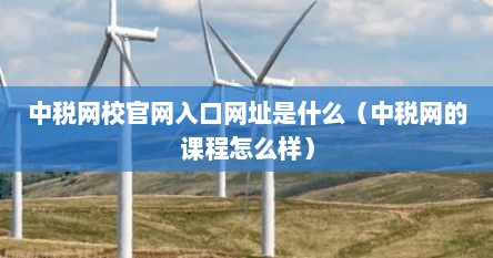 中税网校官网入口网址是什么（中税网的课程怎么样）