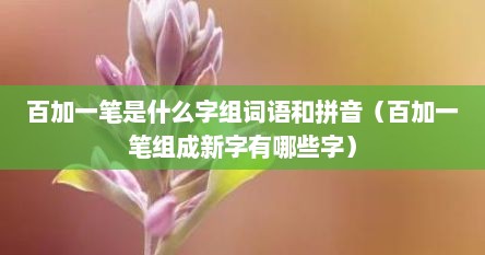 百加一笔是什么字组词语和拼音（百加一笔组成新字有哪些字）