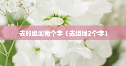 去的组词两个字（去组词2个字）