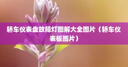 轿车仪表盘故障灯图解大全图片（轿车仪表板图片）