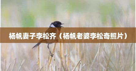 杨帆妻子李松齐（杨帆老婆李松奇照片）