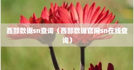 西部数据sn查询（西部数据官网sn在线查询）
