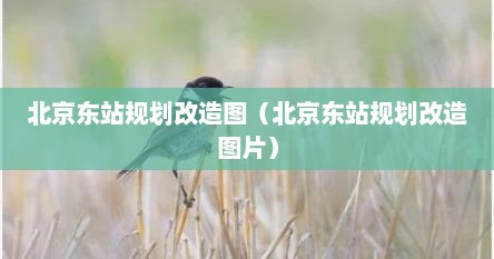 北京东站规划改造图（北京东站规划改造图片）
