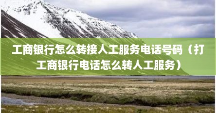 工商银行怎么转接人工服务电话号码（打工商银行电话怎么转人工服务）