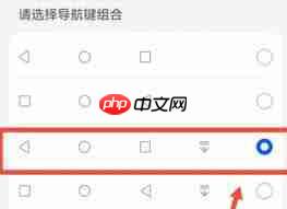 荣耀手机返回键功能图标在哪调