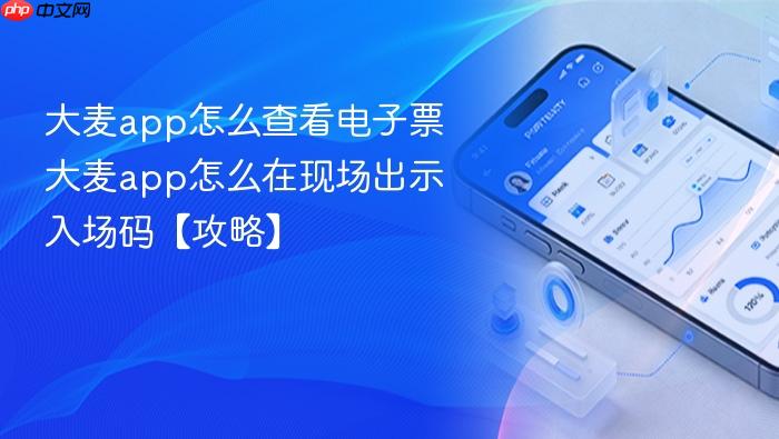 大麦app怎么查看电子票 大麦app怎么在现场出示入场码【攻略】