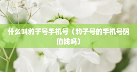 什么叫豹子号手机号（豹子号的手机号码值钱吗）