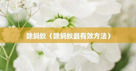 除蚂蚁（除蚂蚁最有效方法）