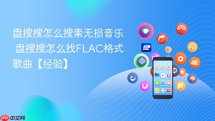 盘搜搜怎么搜索无损音乐 盘搜搜怎么找flac格式歌曲【经验】