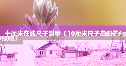 十厘米在线尺子测量（10厘米尺子参照物）