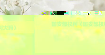 国安部权利（国安部权利大吗）