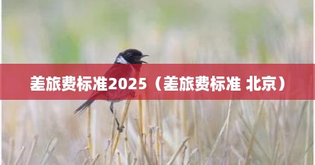 差旅费标准2025（差旅费标准 北京）