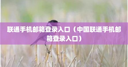 联通手机邮箱登录入口（中国联通手机邮箱登录入口）