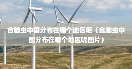 食脑虫中国分布在哪个地区呢（食脑虫中国分布在哪个地区呢图片）