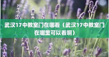武汉17中教室门在哪看（武汉17中教室门在哪里可以看啊）