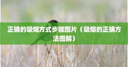正确的吸烟方式步骤图片（吸烟的正确方法图解）