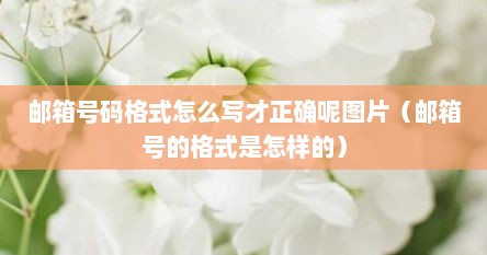 邮箱号码格式怎么写才正确呢图片（邮箱号的格式是怎样的）