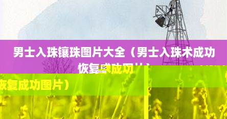 男士入珠镶珠图片大全（男士入珠术成功恢复成功图片）