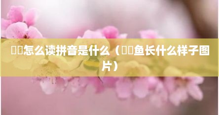 鮟鱇怎么读拼音是什么（鮟鱇鱼长什么样子图片）