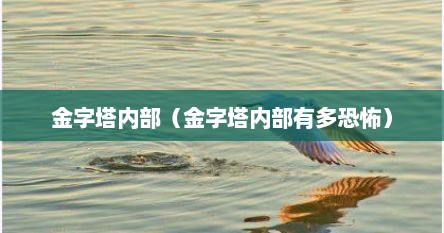 金字塔内部（金字塔内部有多恐怖）