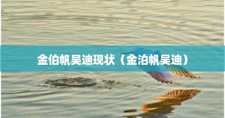 金伯帆吴迪现状（金泊帆吴迪）