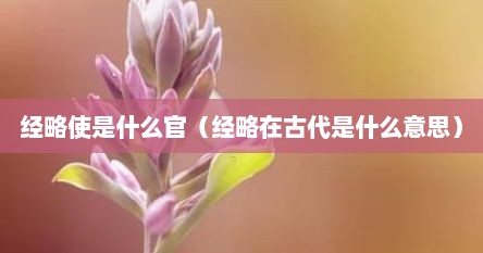 经略使是什么官（经略在古代是什么意思）