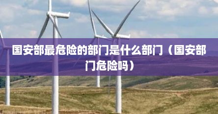 国安部最危险的部门是什么部门（国安部门危险吗）