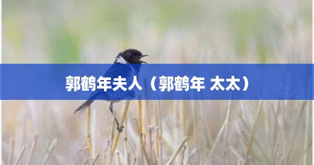 郭鹤年夫人（郭鹤年 太太）