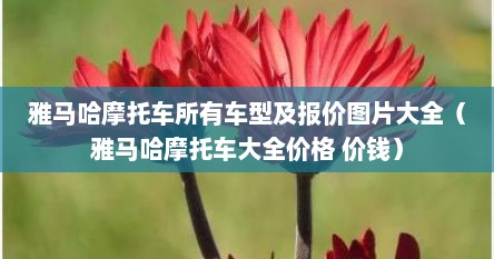 雅马哈摩托车所有车型及报价图片大全（雅马哈摩托车大全价格 价钱）