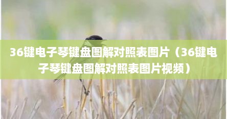 36键电子琴键盘图解对照表图片（36键电子琴键盘图解对照表图片视频）