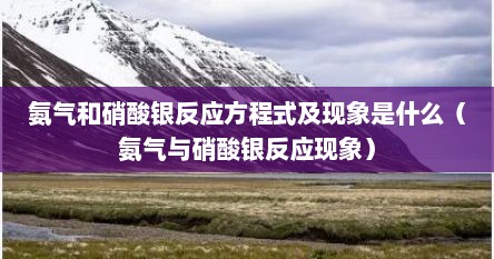 氨气和硝酸银反应方程式及现象是什么（氨气与硝酸银反应现象）