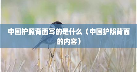 中国护照背面写的是什么（中国护照背面的内容）