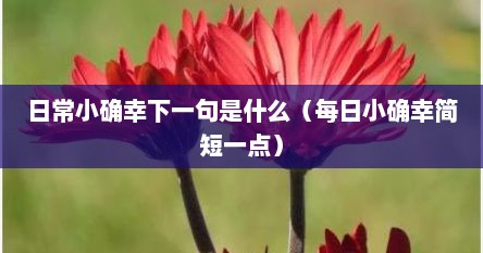 日常小确幸下一句是什么（每日小确幸简短一点）