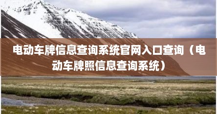 电动车牌信息查询系统官网入口查询（电动车牌照信息查询系统）