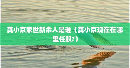 龚小京家世新余人是谁（龚小京现在在哪里任职?）
