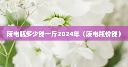 废电瓶多少钱一斤2024年（废电瓶价钱）