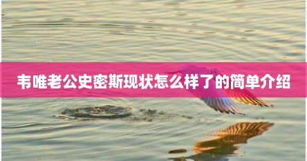 韦唯老公史密斯现状怎么样了的简单介绍