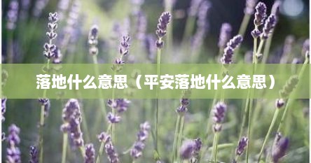 落地什么意思（平安落地什么意思）