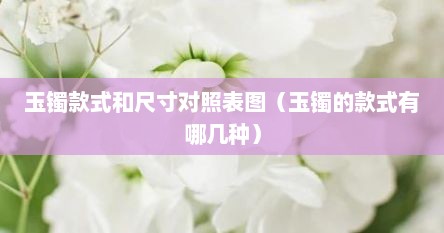 玉镯款式和尺寸对照表图（玉镯的款式有哪几种）