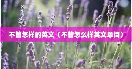 不管怎样的英文（不管怎么样英文单词）