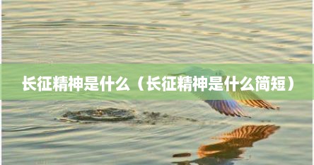 长征精神是什么（长征精神是什么简短）