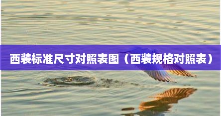 西装标准尺寸对照表图（西装规格对照表）