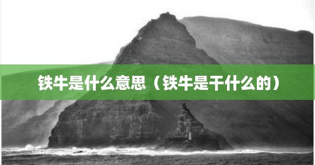 铁牛是什么意思（铁牛是干什么的）