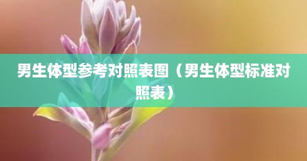 男生体型参考对照表图（男生体型标准对照表）