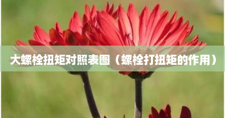 大螺栓扭矩对照表图（螺栓打扭矩的作用）