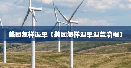 美团怎样退单（美团怎样退单退款流程）