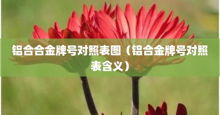 铝合合金牌号对照表图（铝合金牌号对照表含义）