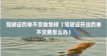 驾驶证罚单不交会怎样（驾驶证开出罚单不交费怎么办）